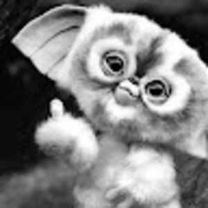 Meet your Posher, Chad